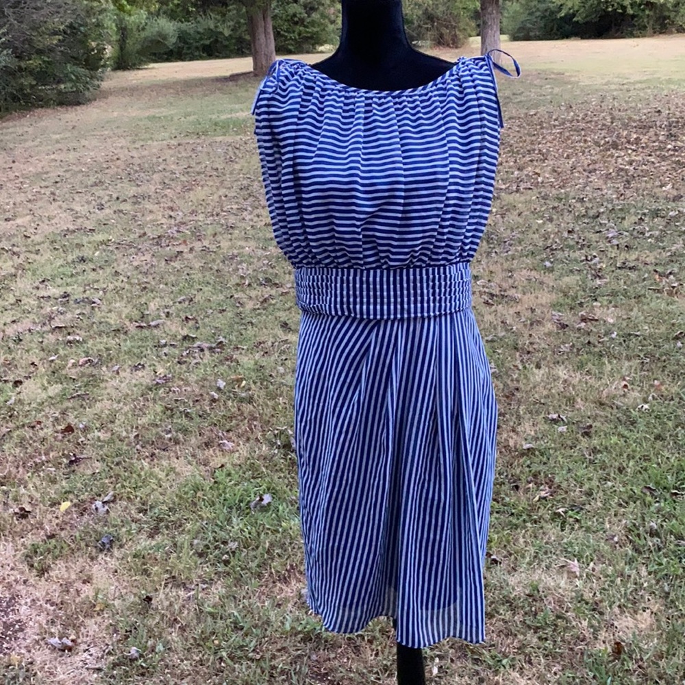 Chadwicks new lined side zip dress slimming stripe